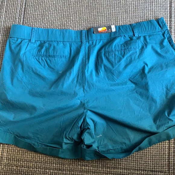 Apt 9 Woman’s Plus size 24w Teal color Shorts NWT - Picture 5 of 6